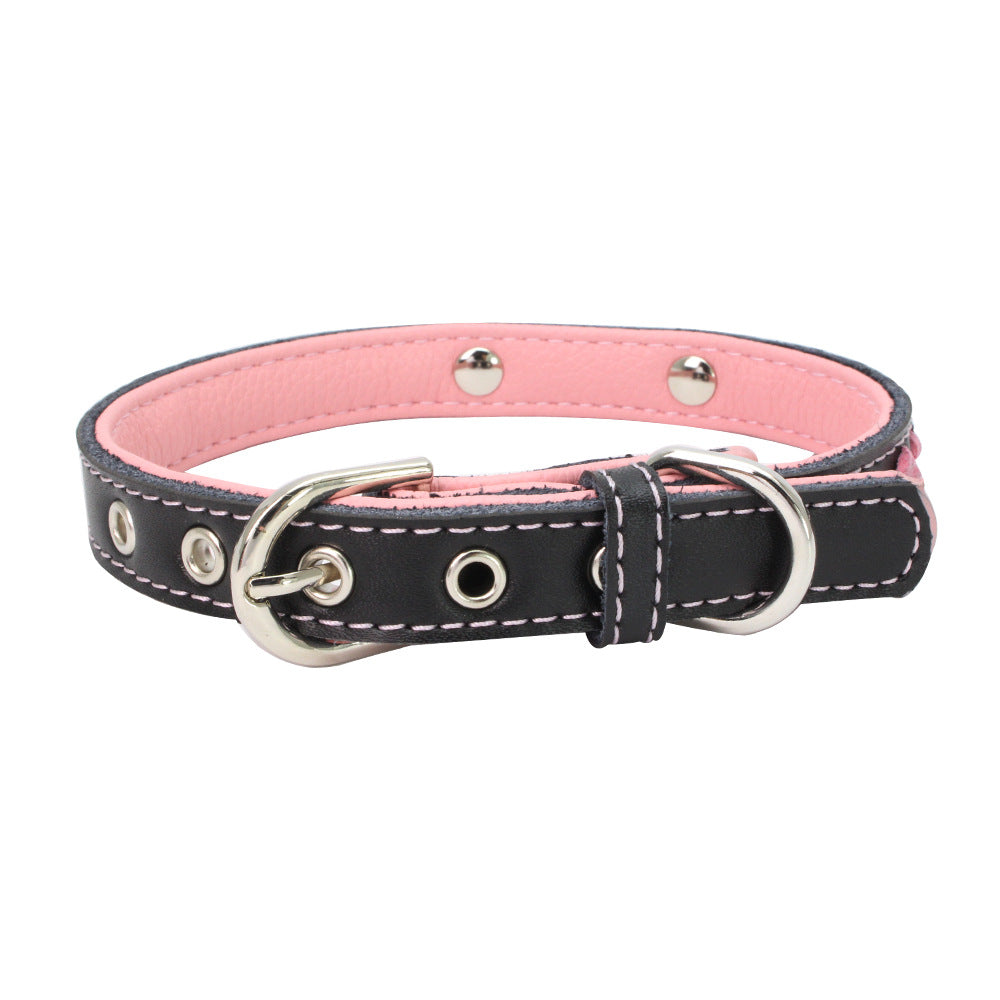 Premium Colorful Steel Dog Collar Kit
