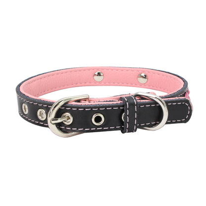 Premium Colorful Steel Dog Collar Kit