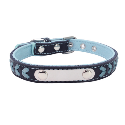 Premium Colorful Steel Dog Collar Kit